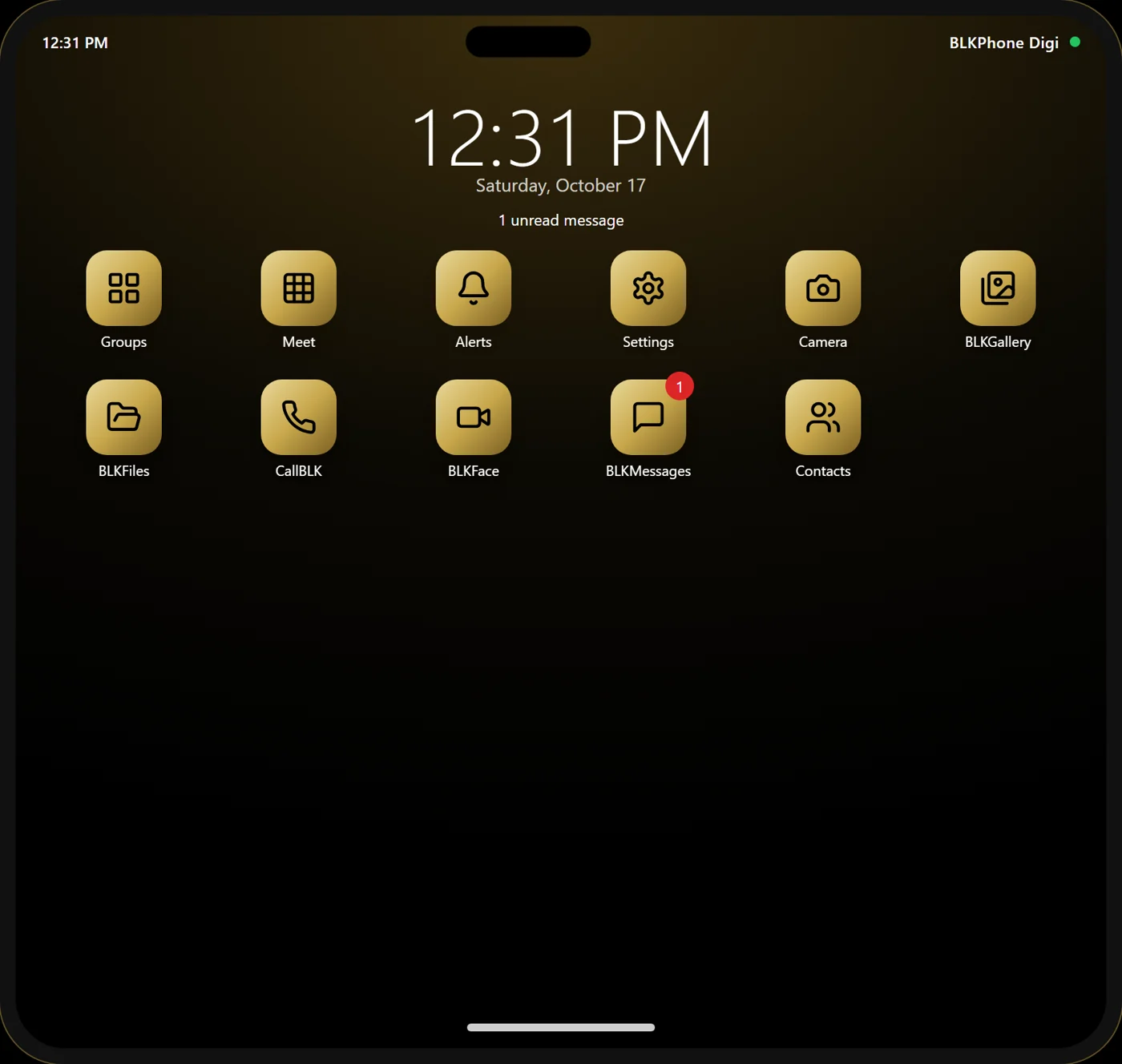 The BLKPhone Digi tablet home screen: the time and date, 2 unread messages, and gold app icons for Groups, Meet, Alerts, Settings, Camera, BLKGallery, BLKFiles, CallBLK, BLKFace, BLKMessages and Contacts.